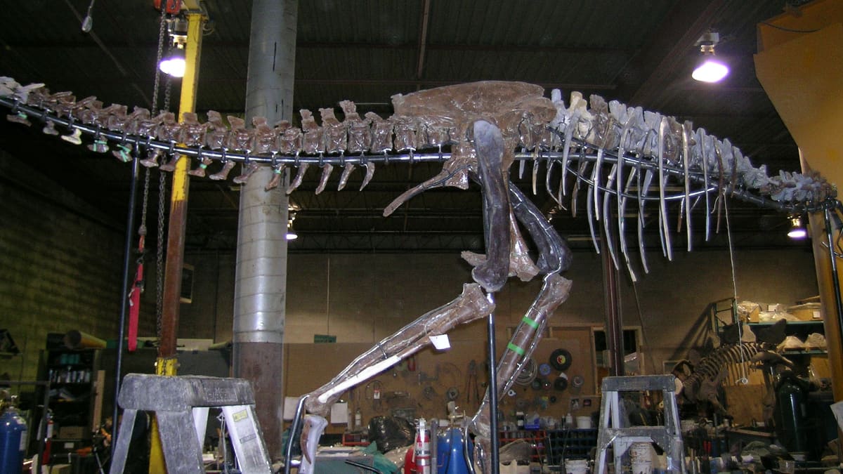Jane the Tyrannosaurus Rex