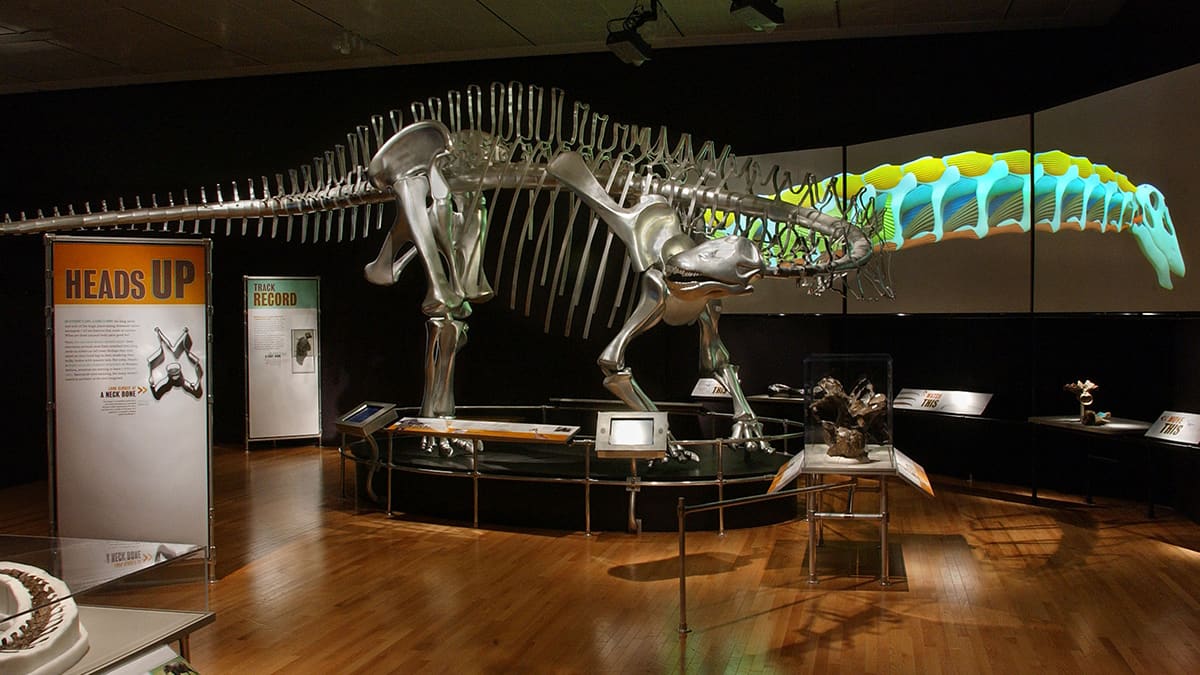 Chromosaurus