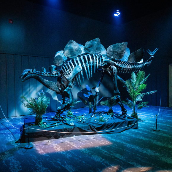 Exploration Exhibits at Science North