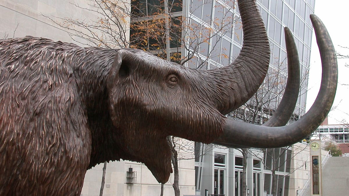 Life-size Bronze Mastodon