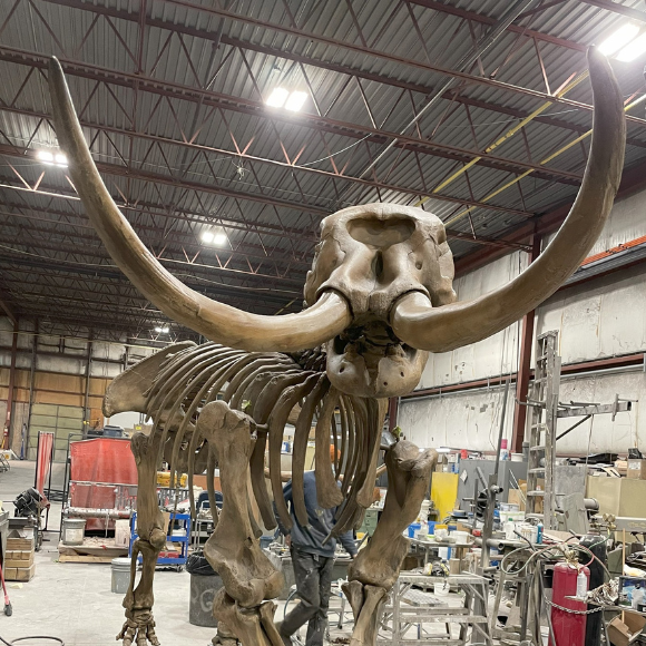 Mastodon Cast for Nova Scotia
