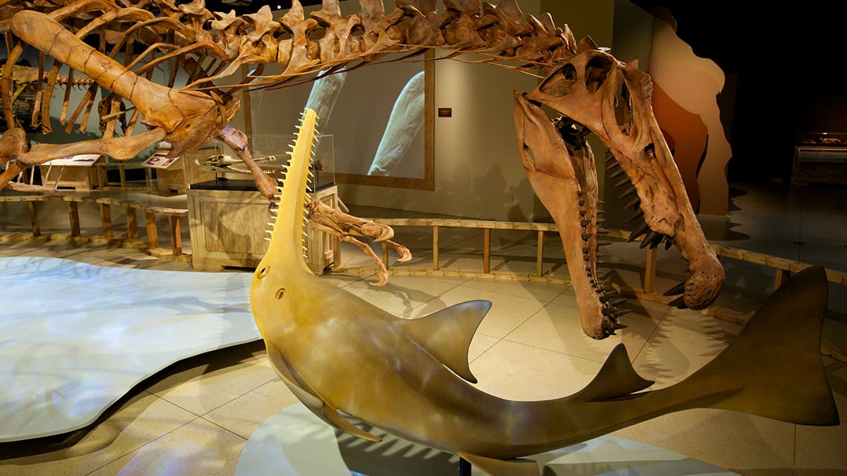 Spinosaurus