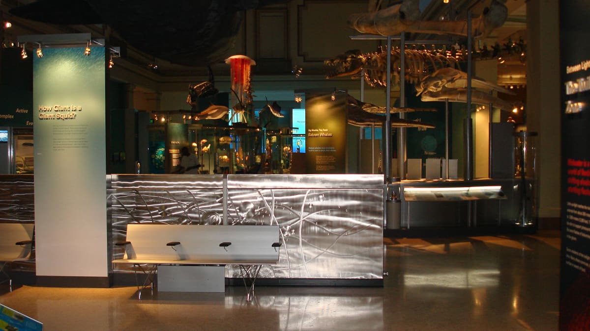 Sant Oceans Hall Whales