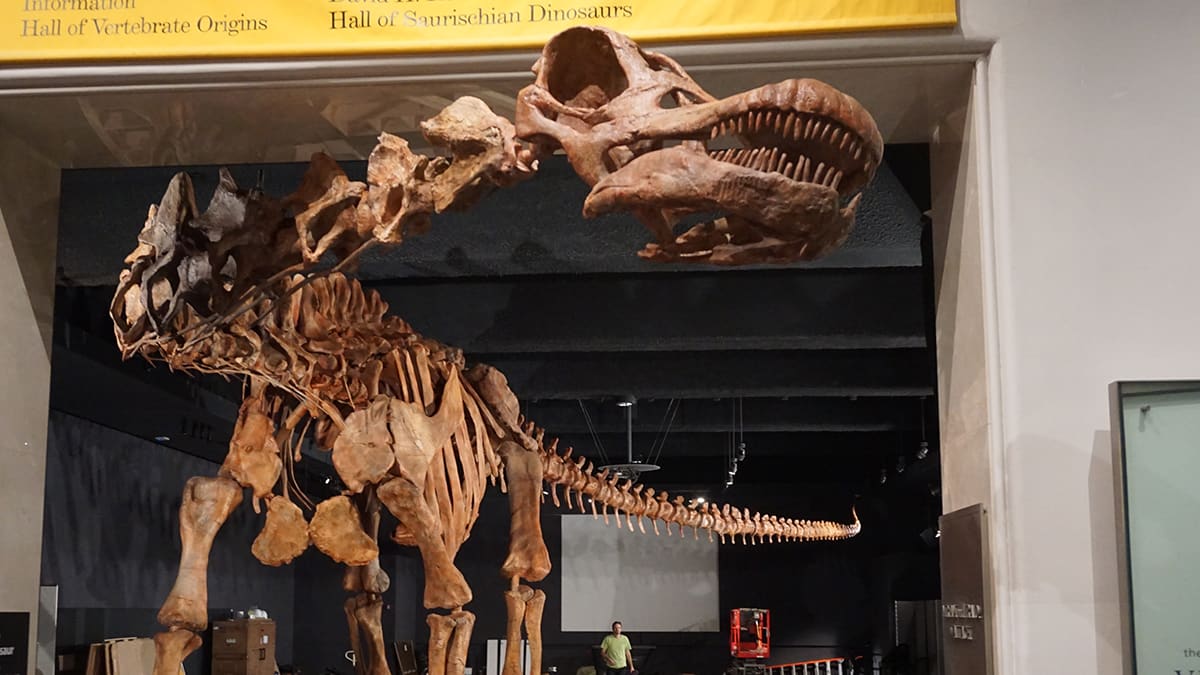 Titanosaur