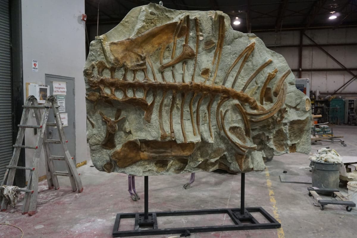 Zuul crurivastator