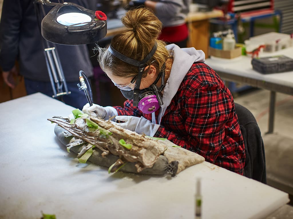 Fossil Preparation, Restoration, & Conservation
