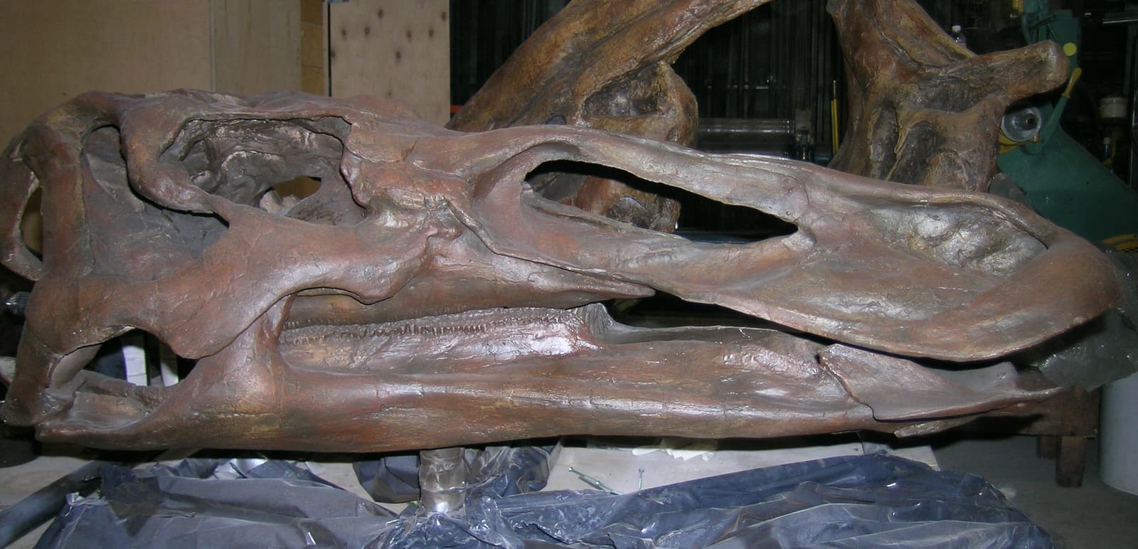 Anatotitan