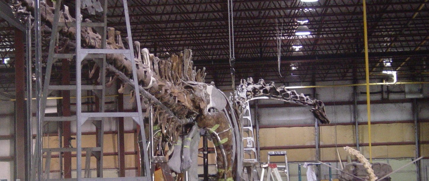 Barosaurus