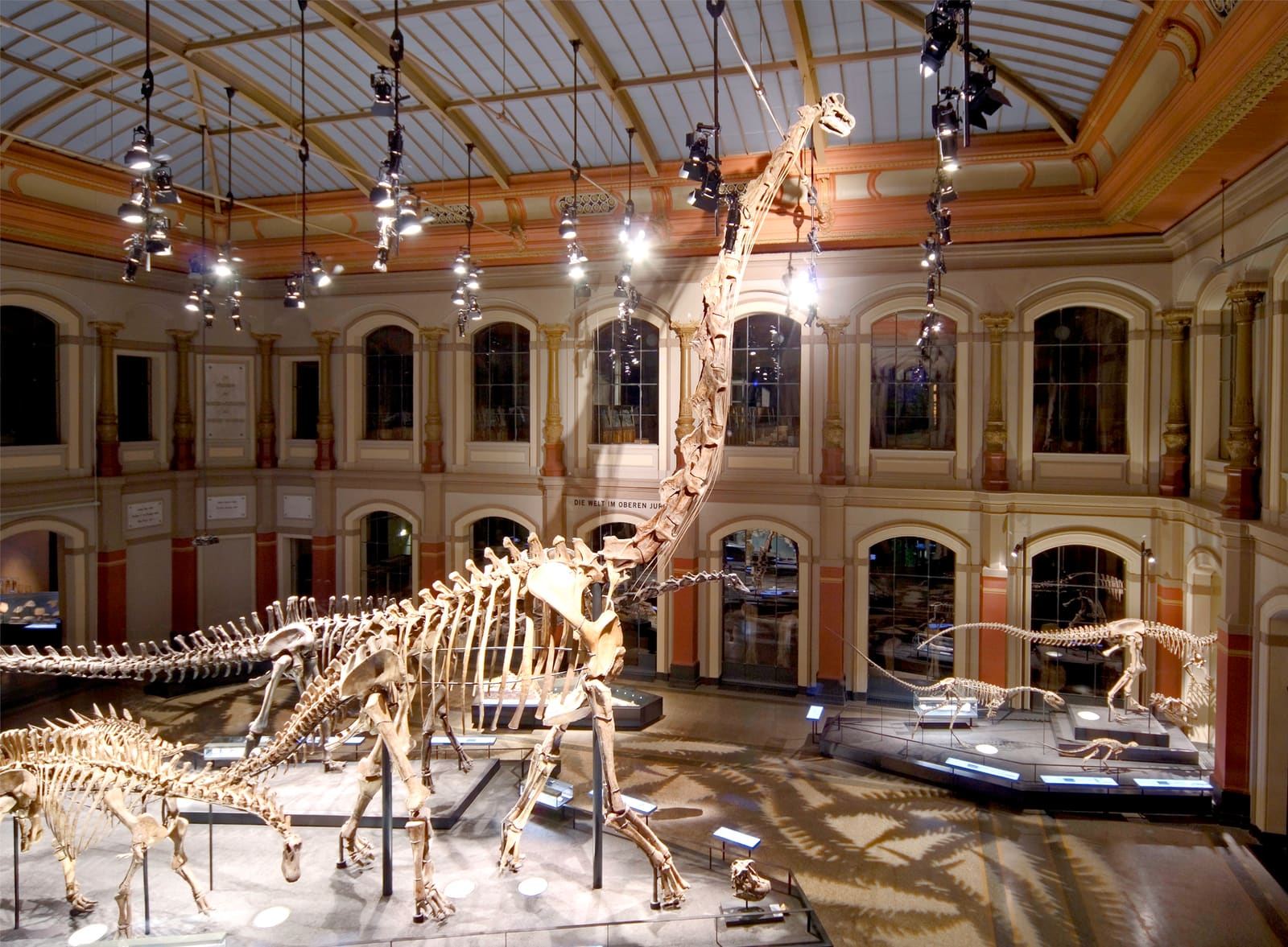 Brachiosaurus