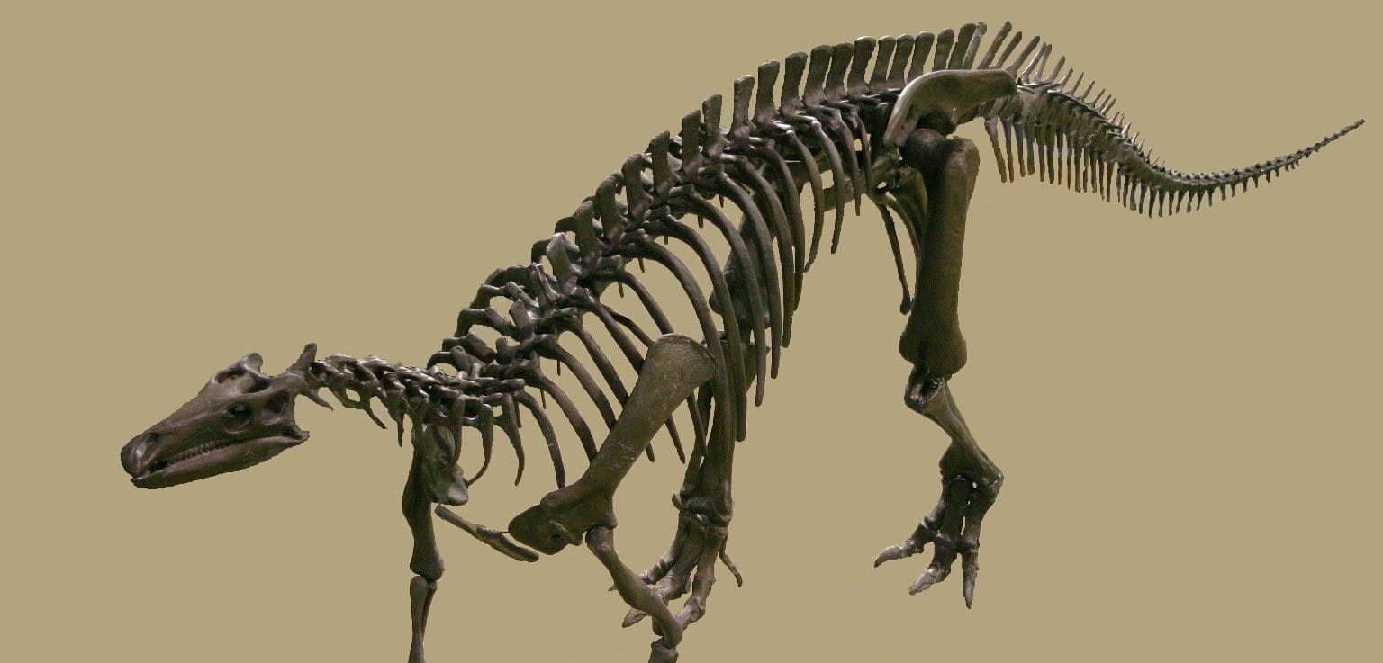 Camptosaurus