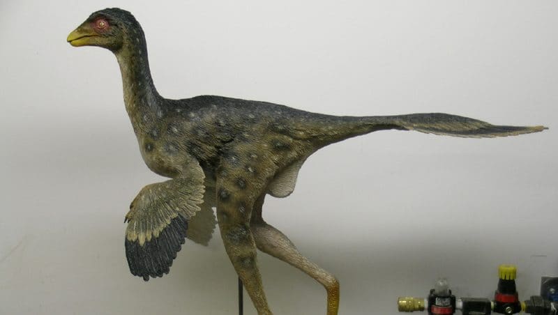 Caudipteryx