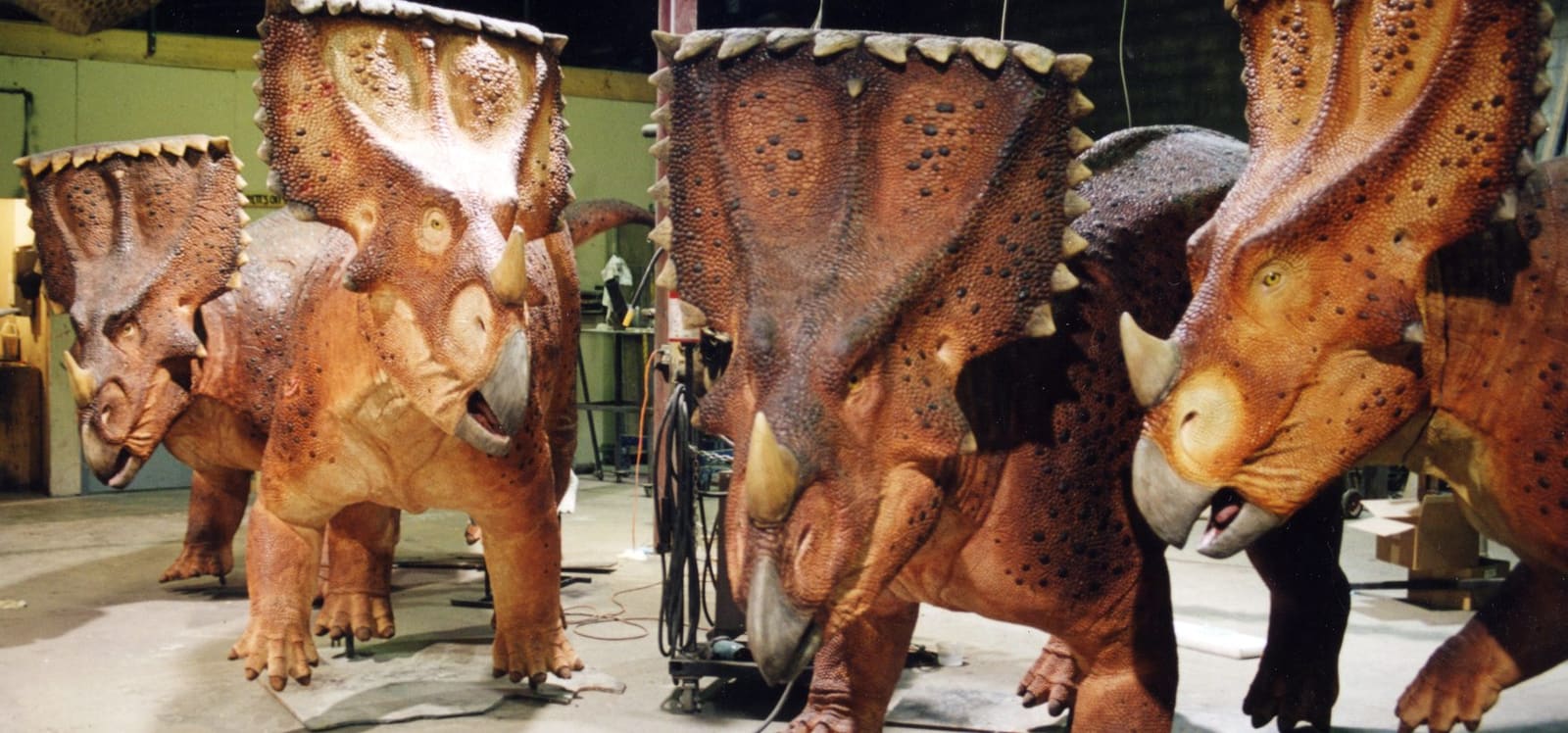 Chasmosaurus