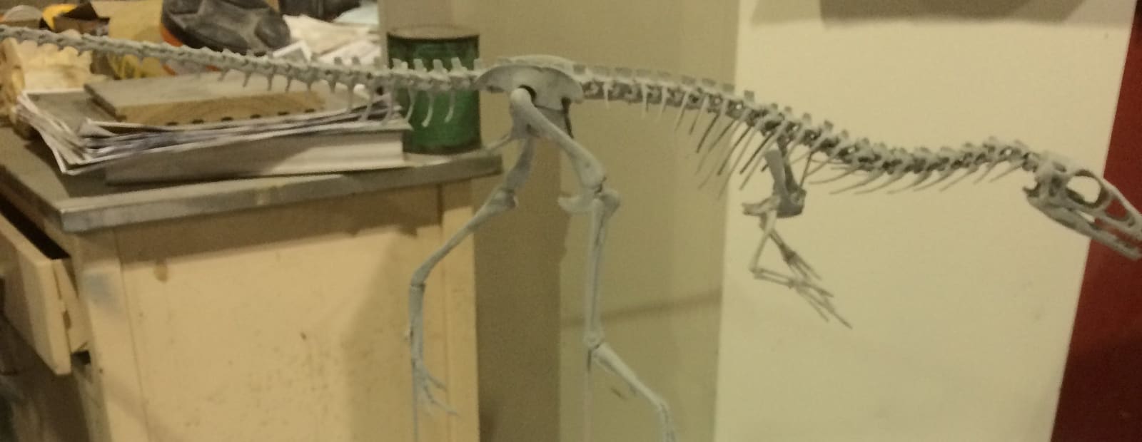 Compsognathus