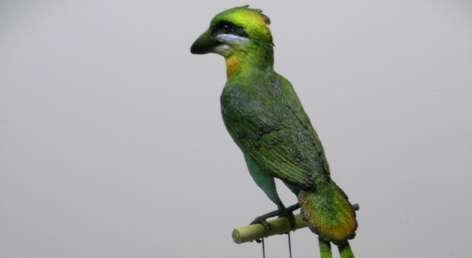 Confuciusornis
