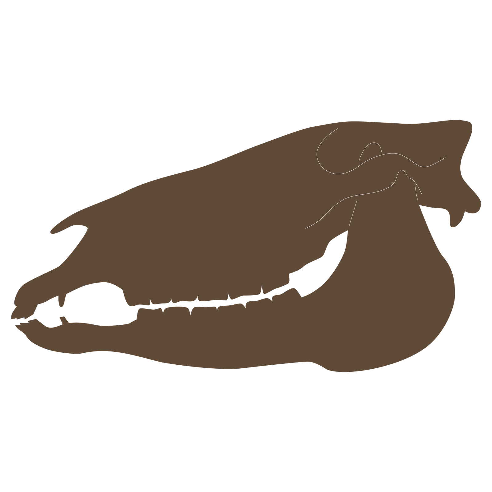 Dinohippus
