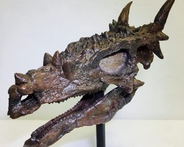 Dracorex
