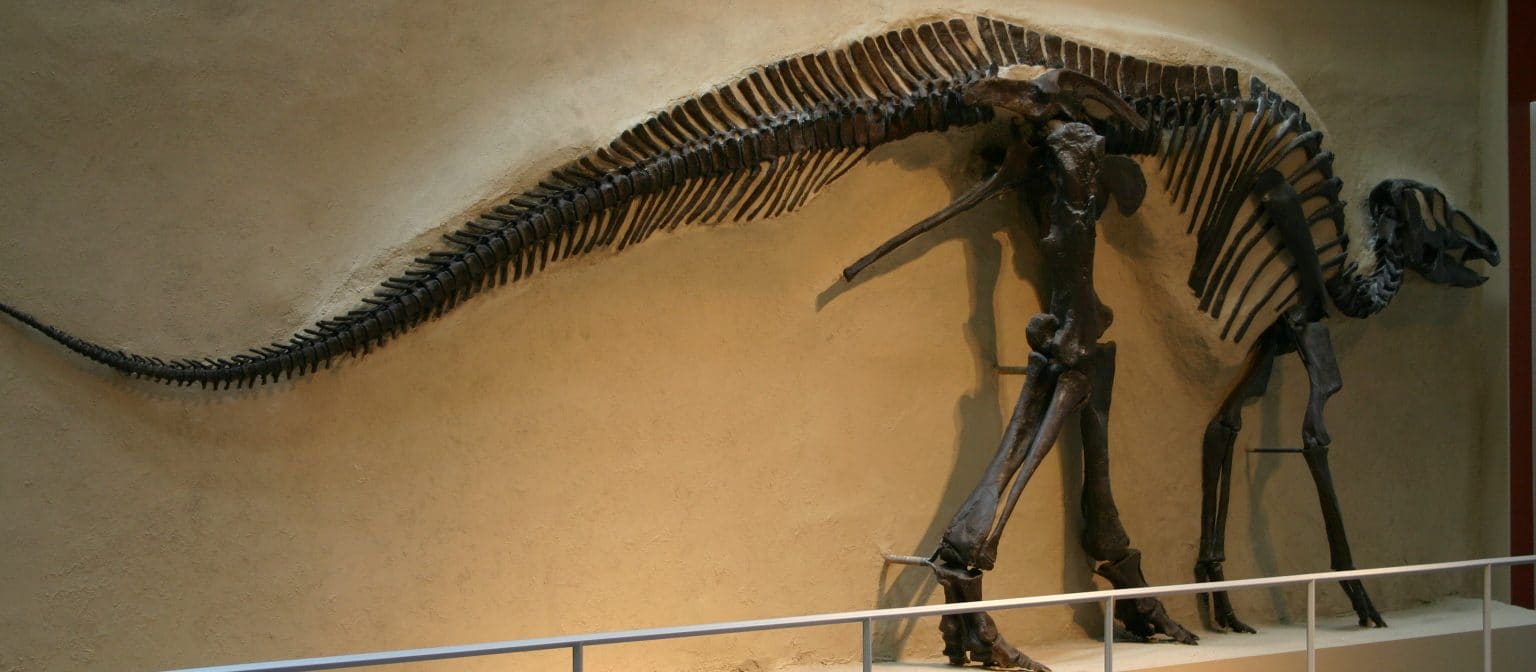 Edmontosaurus