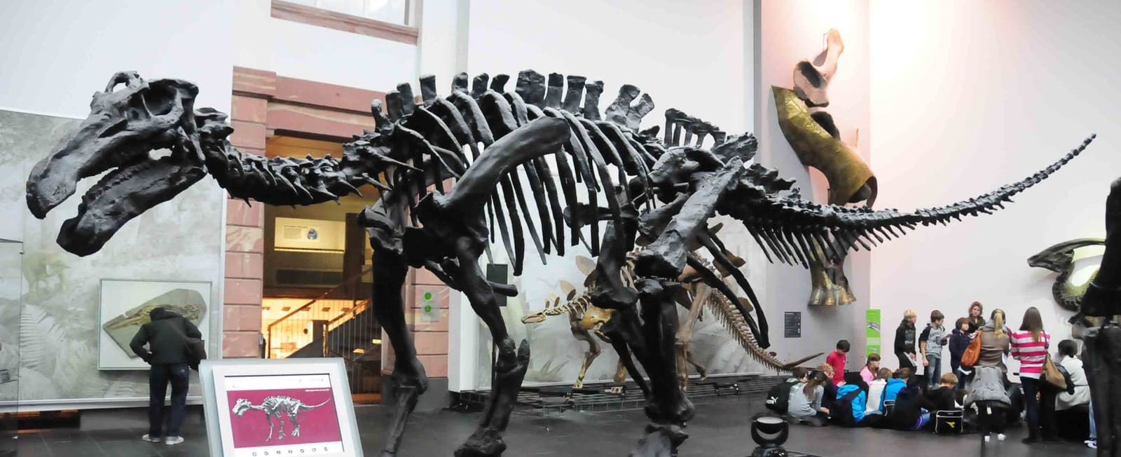 Iguanodon