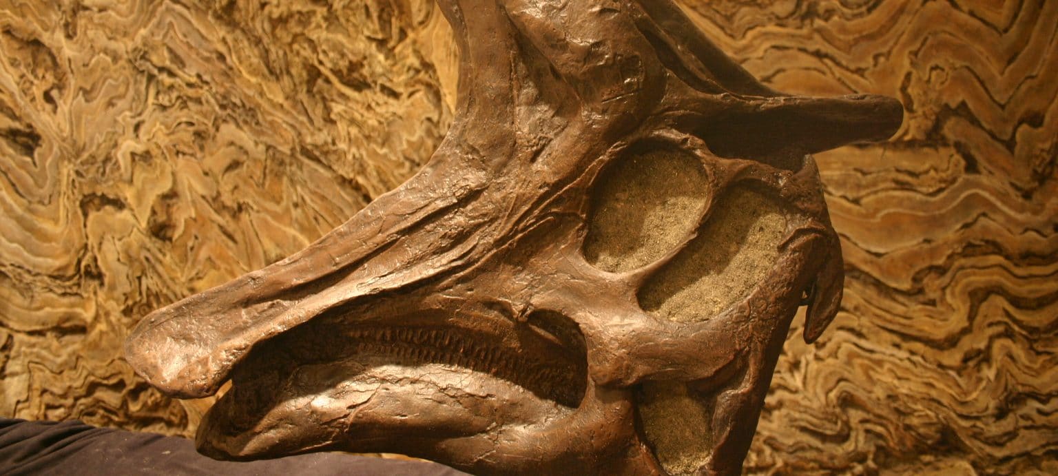 Lambeosaurus