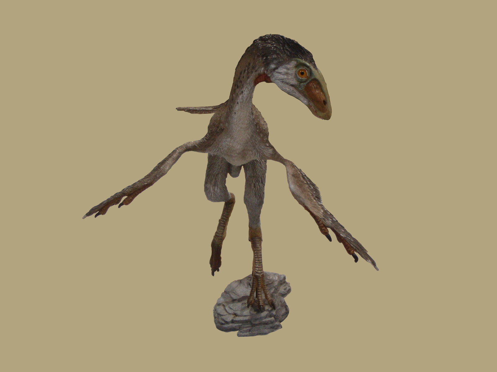 Protarchaeopteryx