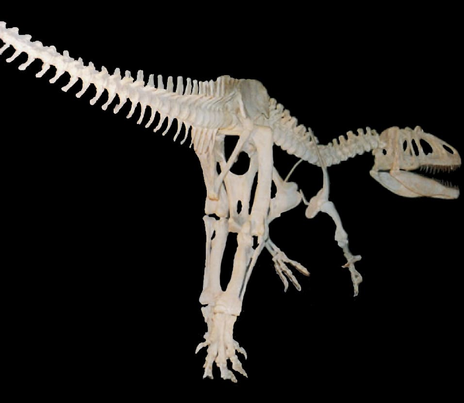 Saurophaganax