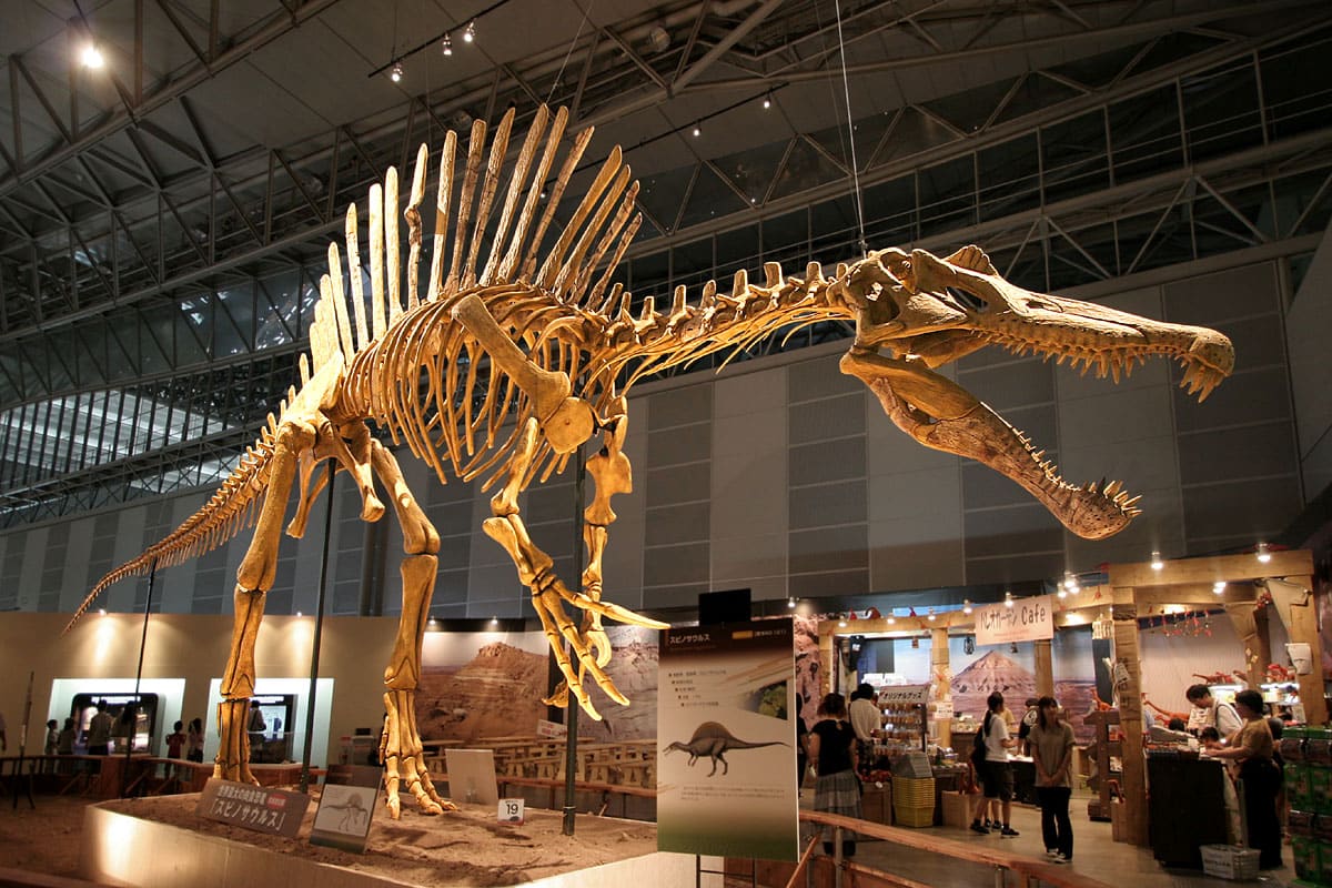 Spinosaurus
