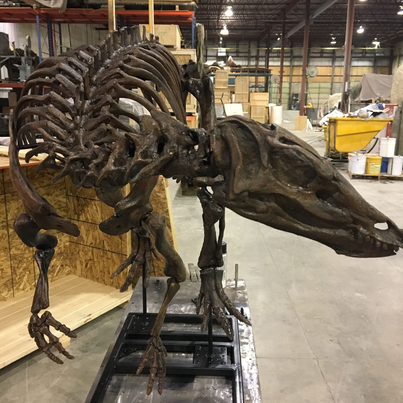 Thescelosaurus