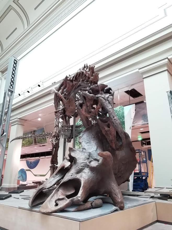 Tyrannosaurus