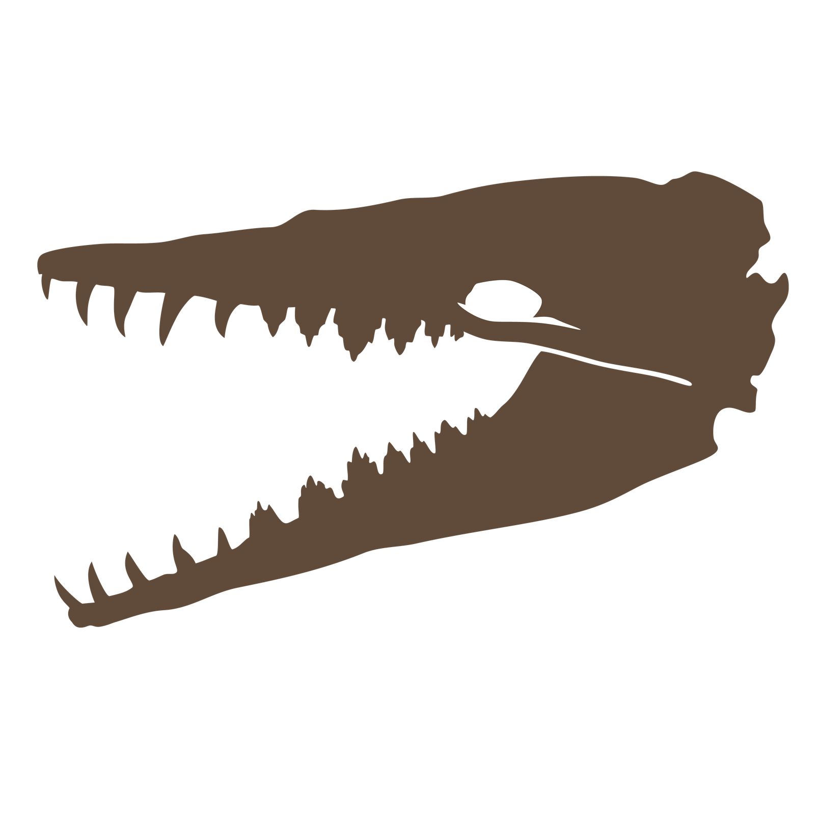 Zygorhiza